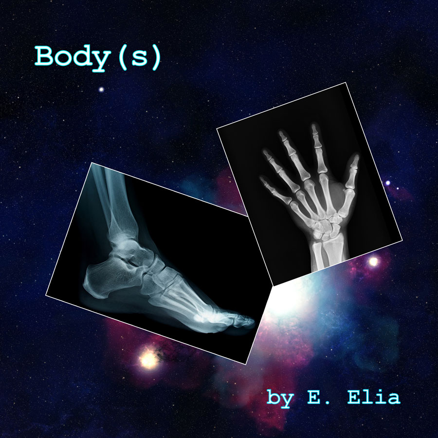 Body(s) Body(s)